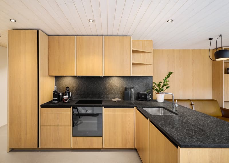 Contemporary Alpine Living at Frame (3)