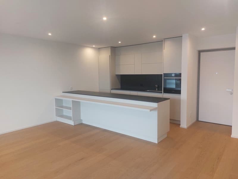 Montagnola: Luxury Apartment with Panoramic View and Private Garden (6)