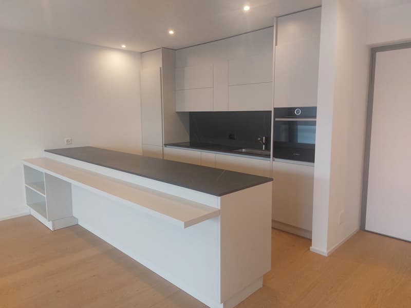 Montagnola: Luxury Apartment with Panoramic View and Private Garden (5)