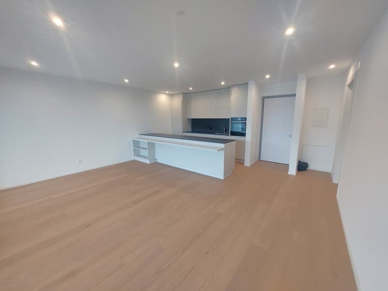 Montagnola: Luxury Apartment with Panoramic View and Private Garden (7)
