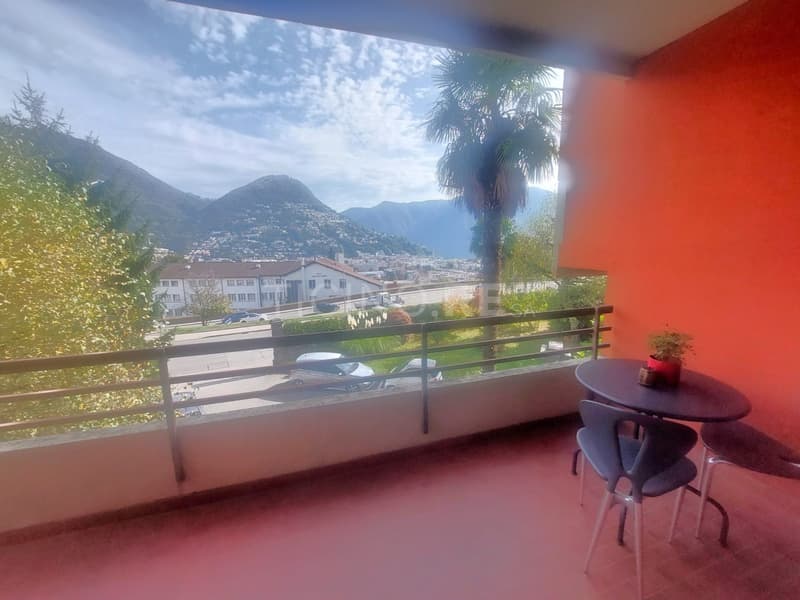 Lugano: Luminoso Appartamento 3.5 Locali con vista lago e città (2)