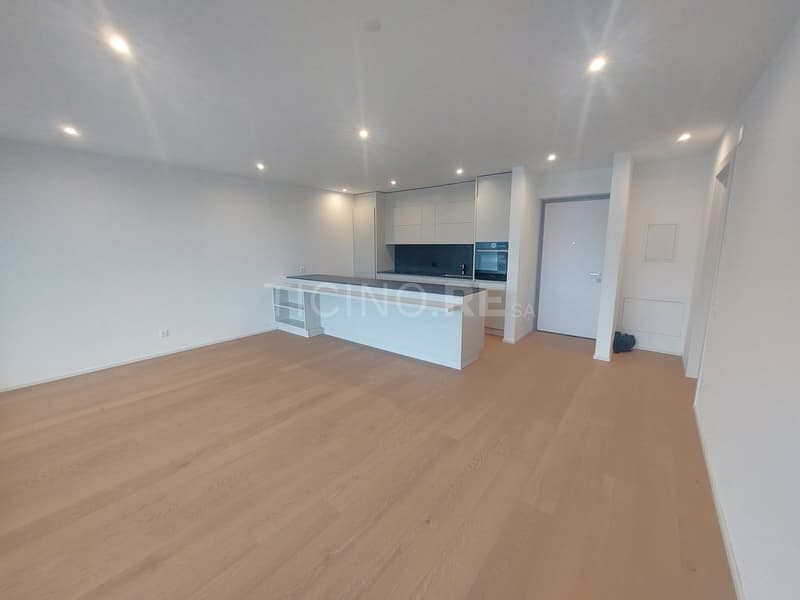 Montagnola: Lussuoso Appartamento con Vista Panoramica e Giardino Privato (4)