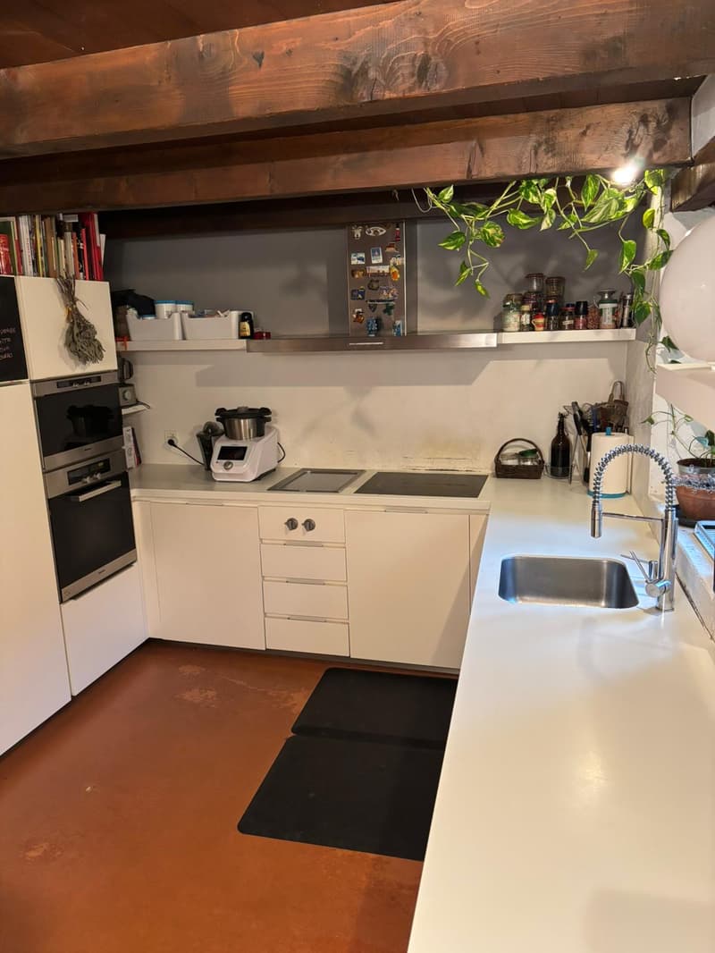 Ampia casa indipendente con giardino (9)
