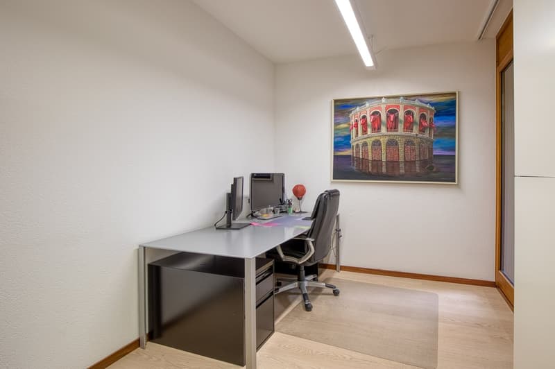 Elegante ufficio/appartamento di 4.5 locali con terrazza a due passi dal parco Ciani (10)