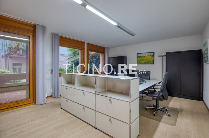 Elegante ufficio/appartamento di 4.5 locali con terrazza a due passi dal parco Ciani (9)