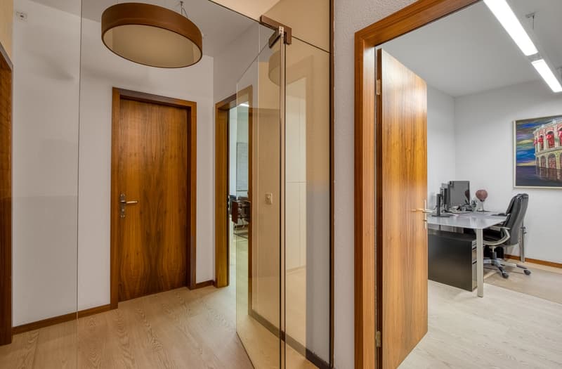 Lugano – elegante immobile con possibilità di trasformazione in abitazione di fronte al Parco Ciani (7)