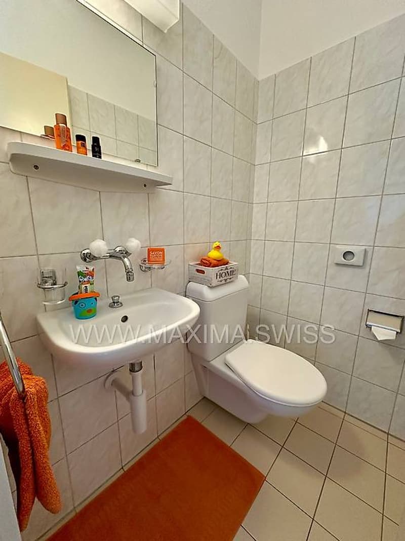 BIASCA: Bright and quiet 4.5 rooms, ideal for families (2)