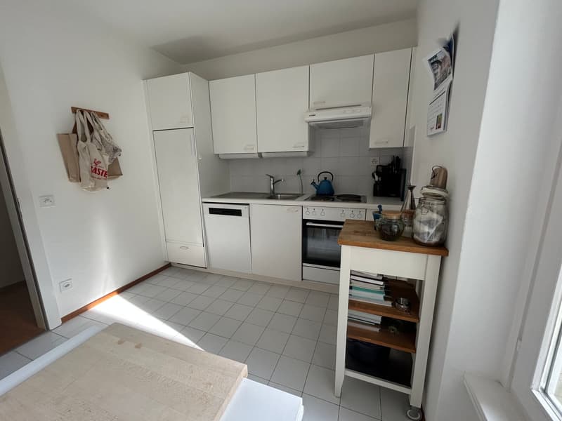 Mendrisio historic center: spacious and well-divided (8)