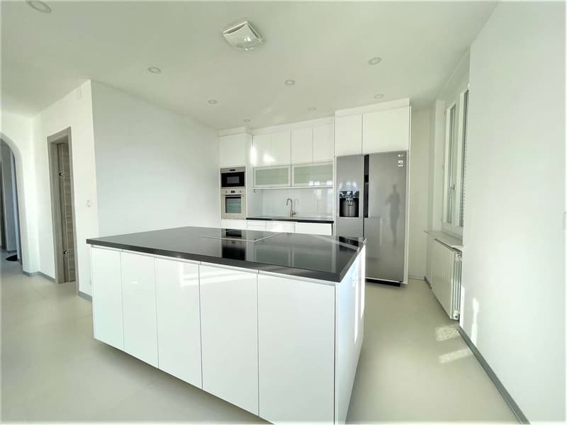 Palazzina a reddito vista lago  investimento ideale a Minusio (7)