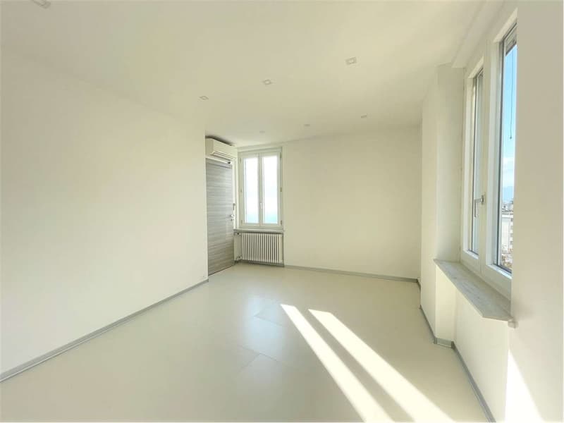 Palazzina a reddito vista lago  investimento ideale a Minusio (8)