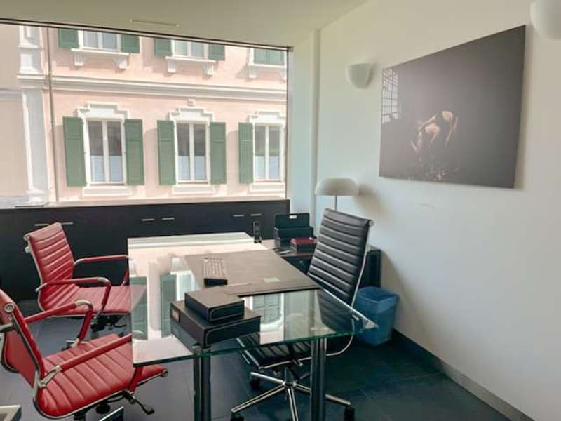 Modern office in the heart of Paradiso (3)