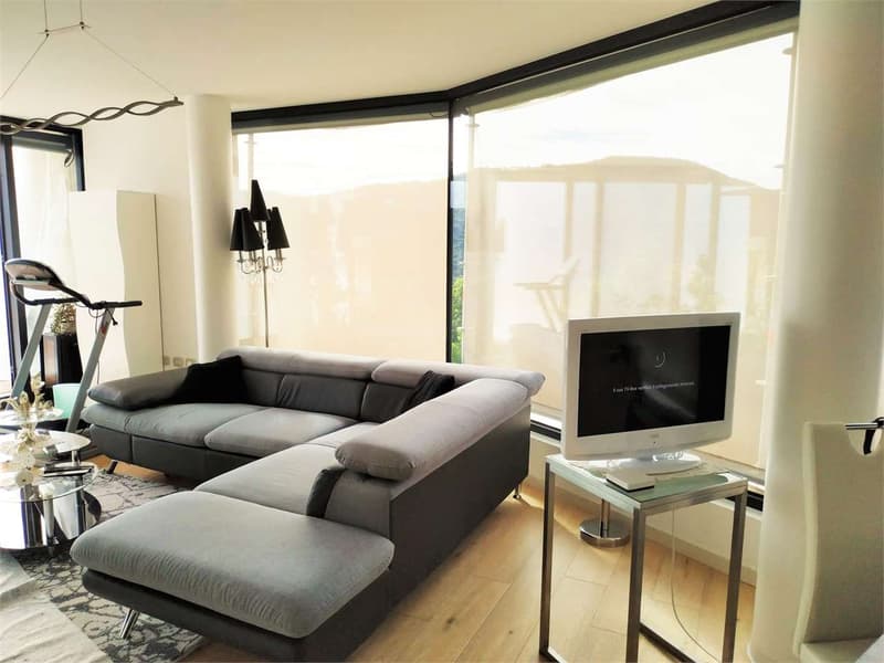 Bright Apartment with 123m terrace and garden (11)