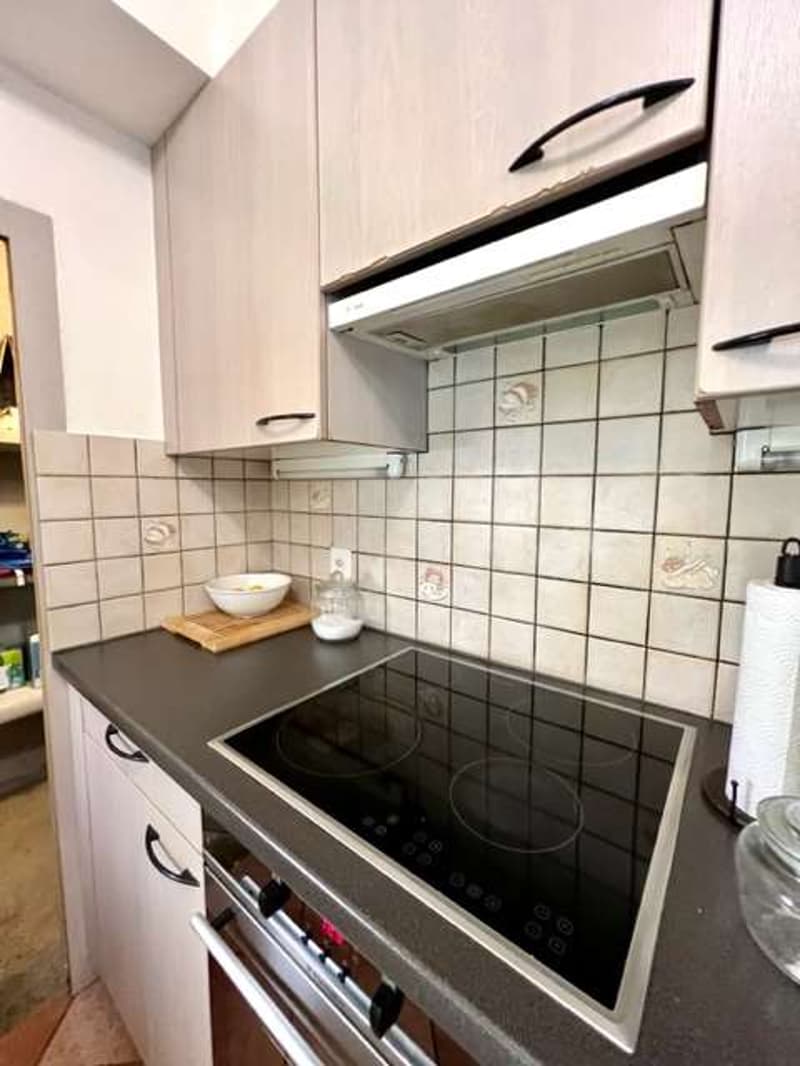 Belle maison tessinoise de 2,5 pièces dans le vieux bourg (8)