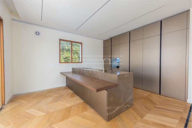 Luxury Penthouse in Montagnola with Pool and SPA (6)