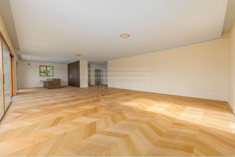 Luxury Penthouse in Montagnola with Pool and SPA (5)