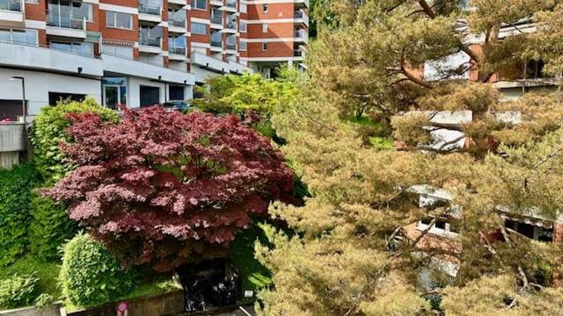 Appartamento vista lago a Lugano Paradiso (2)