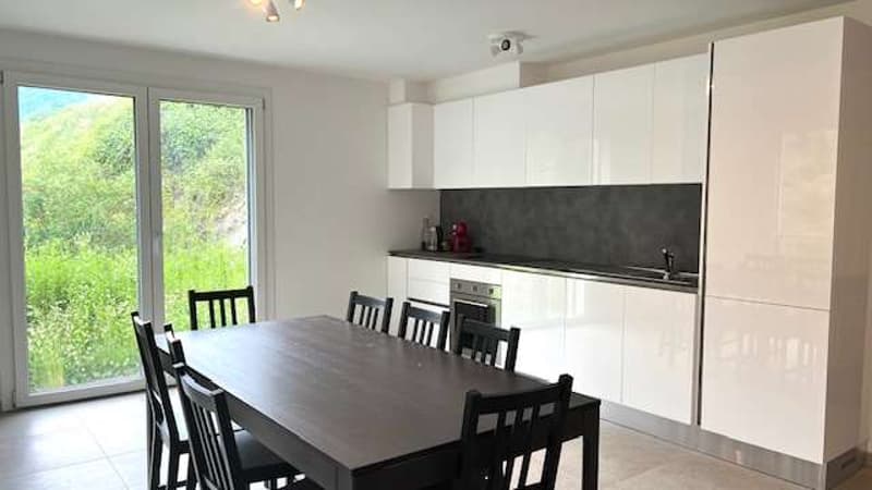 Appartamento nuovo 4,5 locali con giardino (5)