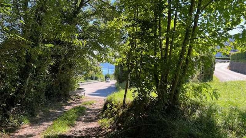 Bosco Luganese terrain constructible avec vue sur le lac (3)