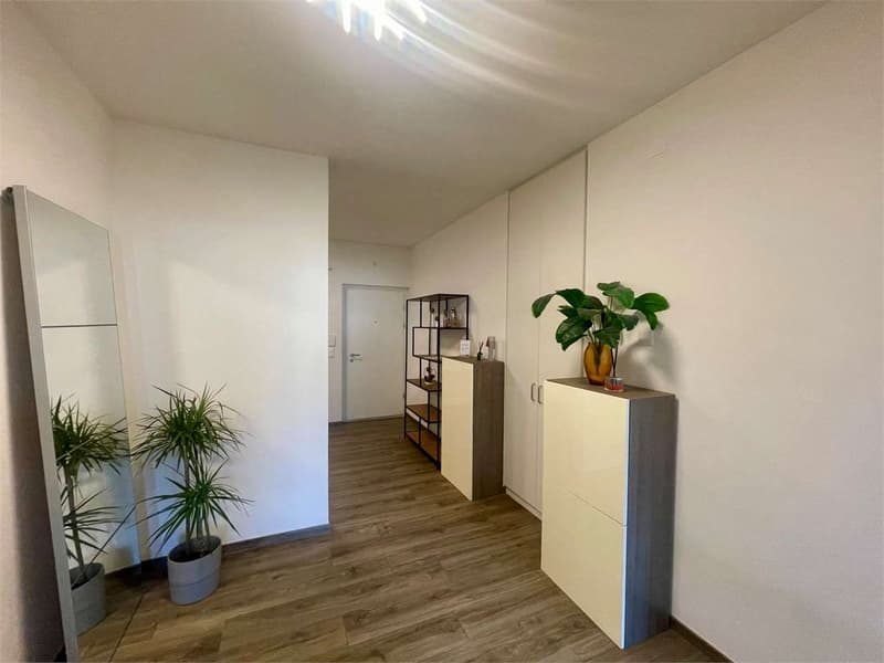 Lugano opportunità di Investimento Immobiliare in posizione strategica (7)