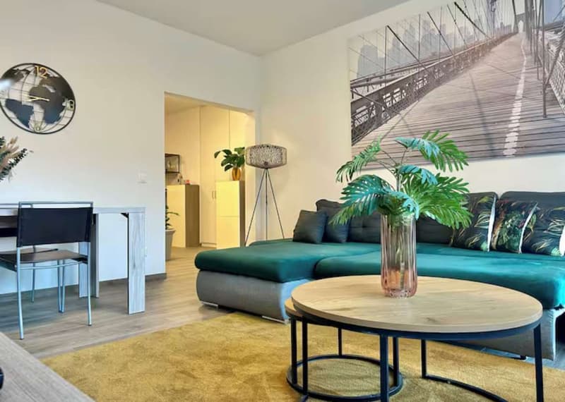 Lugano opportunità di Investimento Immobiliare in posizione strategica (12)