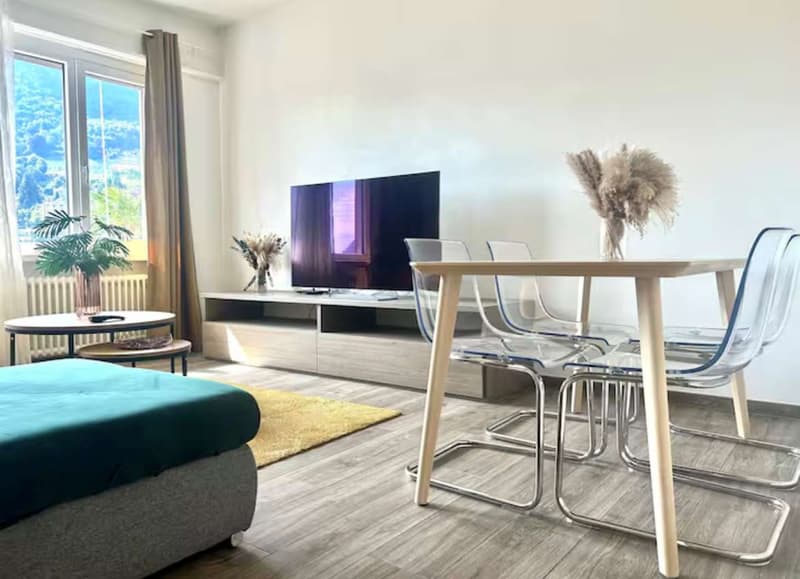 Lugano opportunità di Investimento Immobiliare in posizione strategica (11)