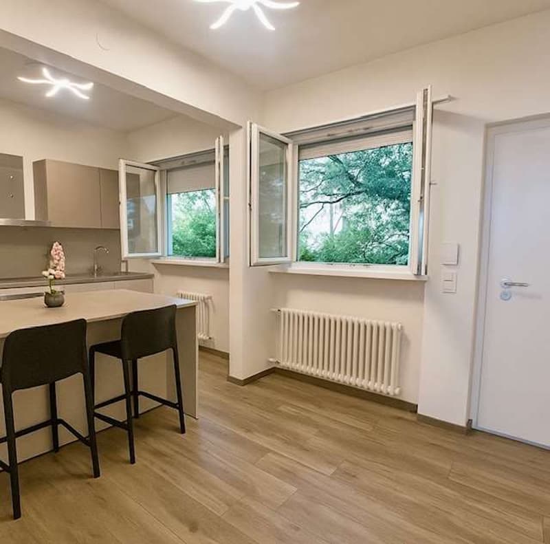 Lugano opportunità di Investimento Immobiliare in posizione strategica (3)