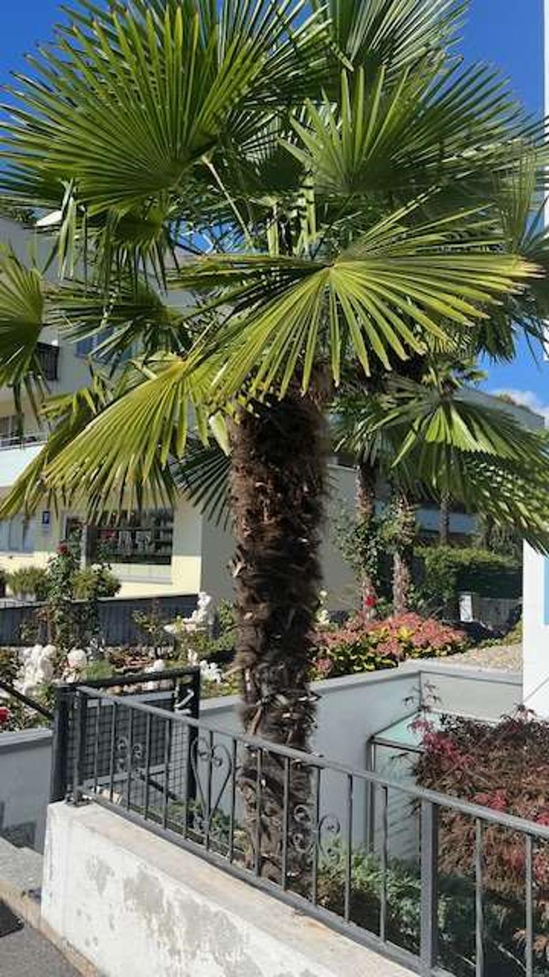 Ufficio di prestigio con giardino e terrazza in elegante residenza ad (5)