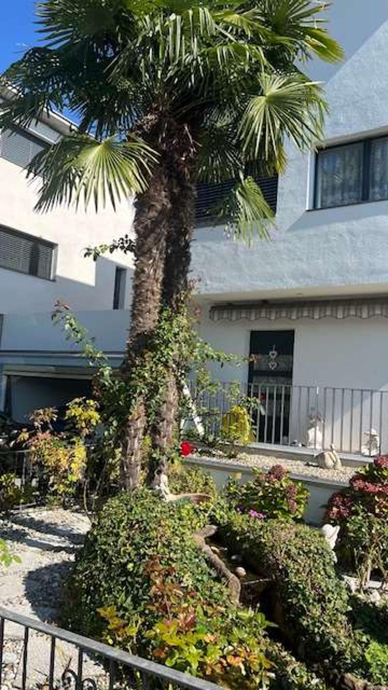Ufficio di prestigio con giardino e terrazza in elegante residenza ad (7)