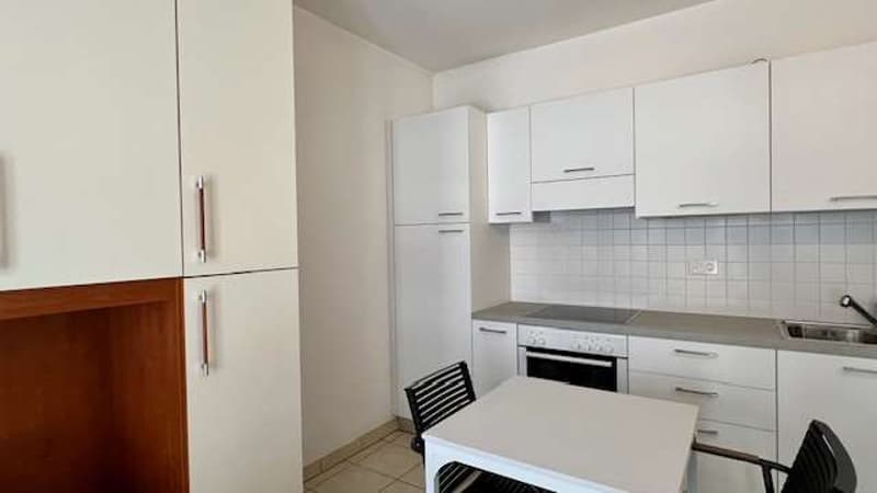 Einzimmerwohnung eingerichtet in Giubiasco mit gutem Ertrag (3)