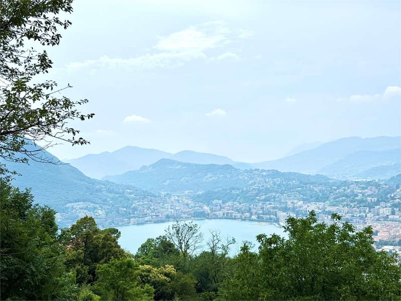 Aldesago zur Miete 3,5 möbliert mit Seeblick (1)