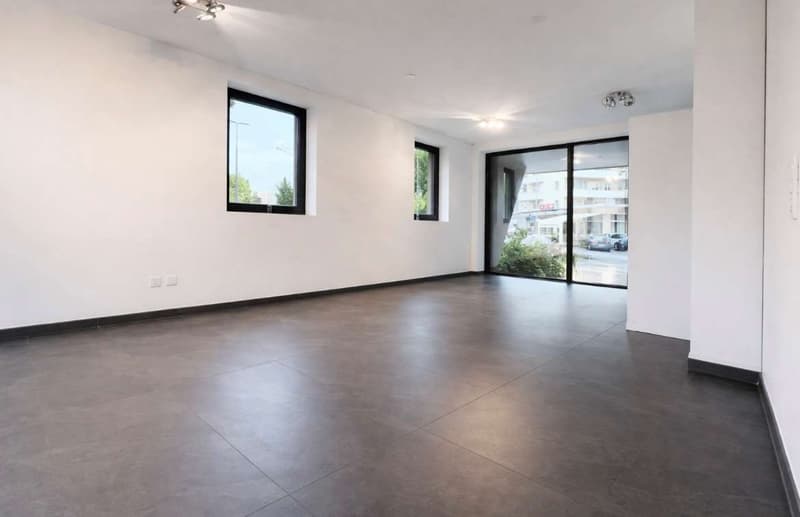 Ufficio di rappresentanza in residenza prestigiosa (5)