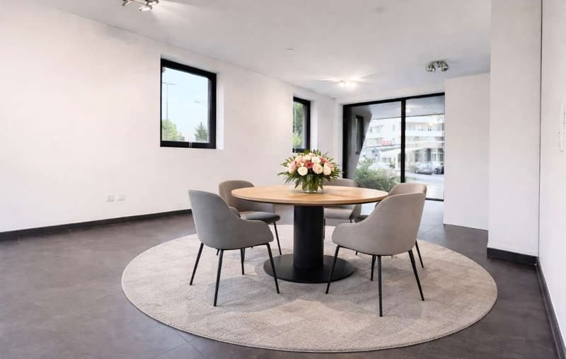Ufficio di rappresentanza in residenza prestigiosa (4)