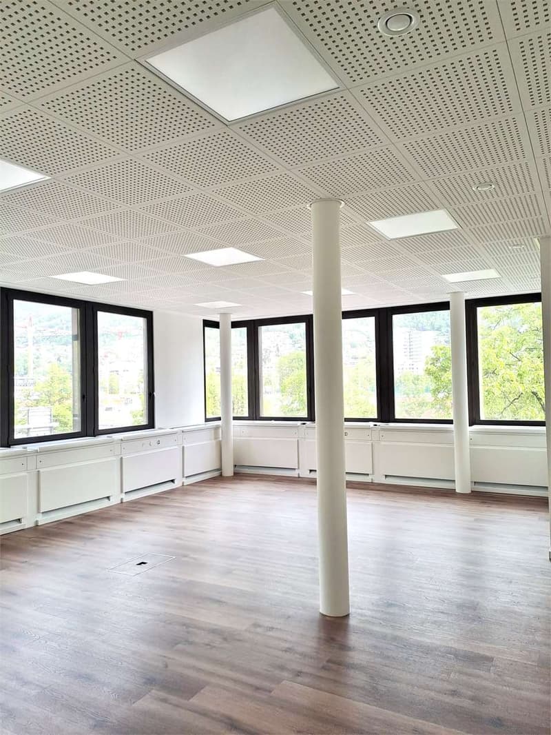 Spazio commerciale di alto profilo in affitto a Lugano (2)