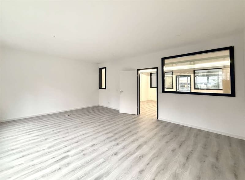 Lugano, prestigious office of 7 rooms with panoramic lake view (6)