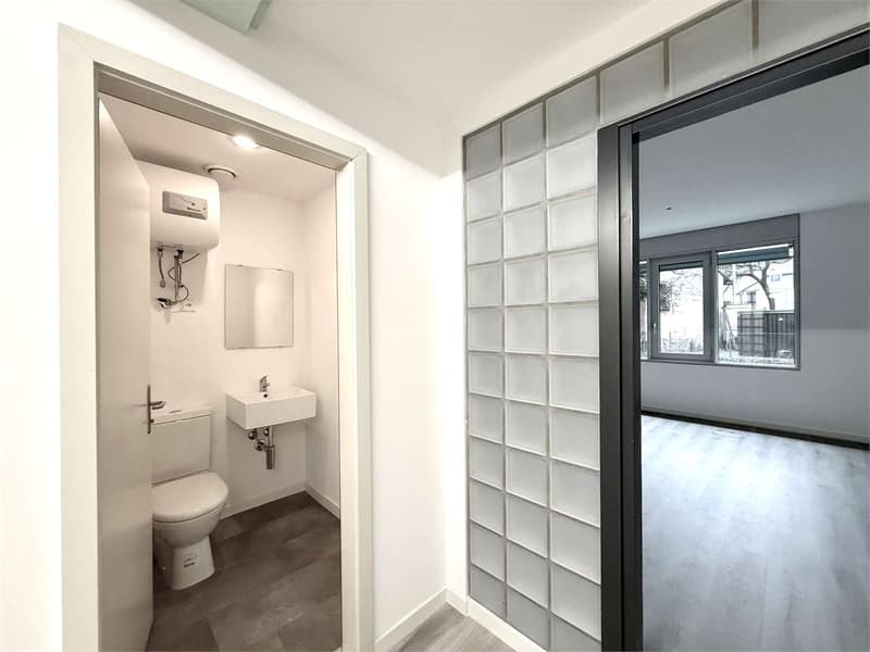 Lugano, prestigious office of 7 rooms with panoramic lake view (9)