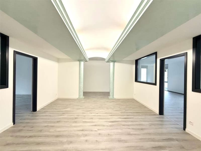 Lugano, prestigious office of 7 rooms with panoramic lake view (2)
