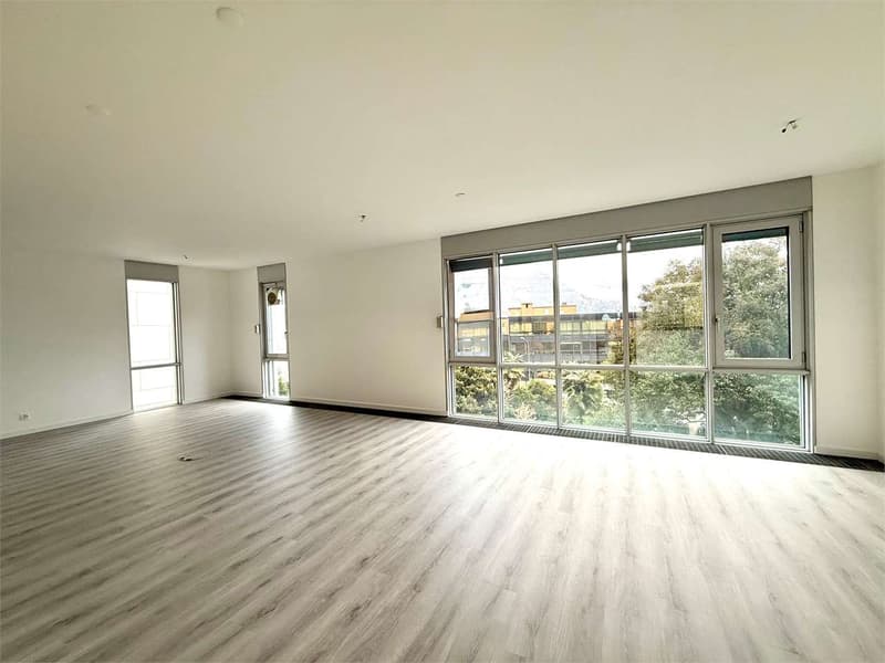 Lugano, prestigious office of 7 rooms with panoramic lake view (5)