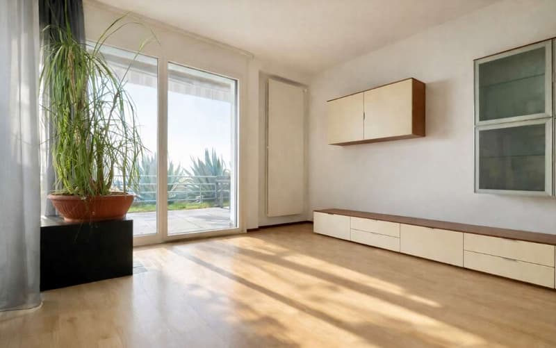 Appartement avec vue sur le lac et terrasse jardin (2)