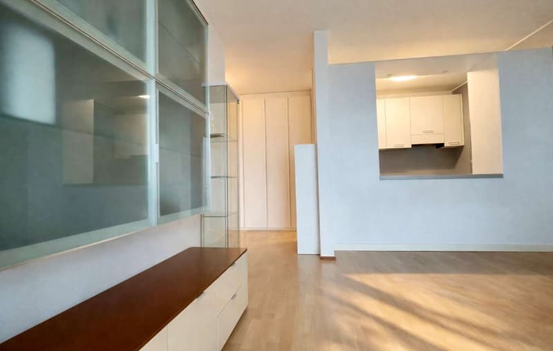 Appartement avec vue sur le lac et terrasse jardin (6)
