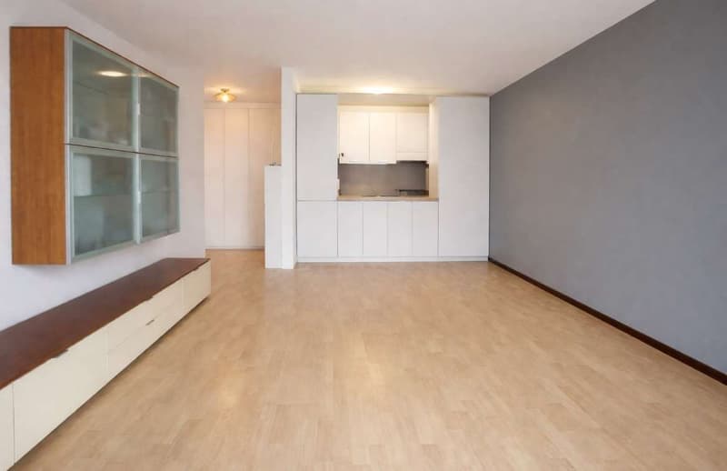 Appartement avec vue sur le lac et terrasse jardin (3)