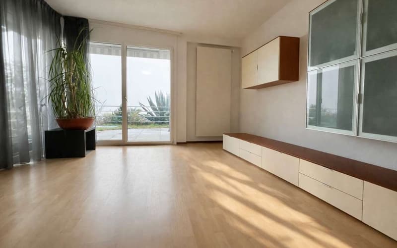 Appartement avec vue sur le lac et terrasse jardin (4)