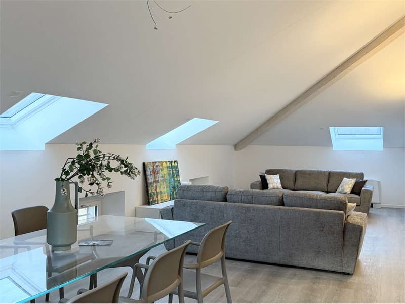 Bellinzona city center, 3 minutes from the station - 3.5 room attic apartment furnished (3)