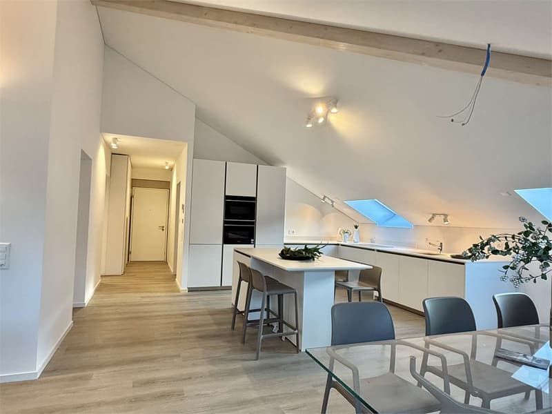 Bellinzona city center, 3 minutes from the station - 3.5 room attic apartment furnished (2)