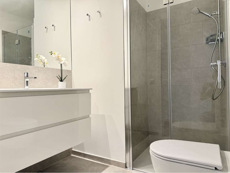 Bellinzona city center, 3 minutes from the station - 3.5 room attic apartment furnished (7)