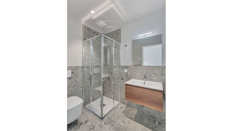 Lugano Breganzona, appartement 2,5 pièces moderne meublé à louer (6)