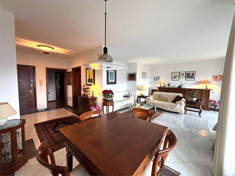 Spacious penthouse with 4.5 rooms and lake view (3)
