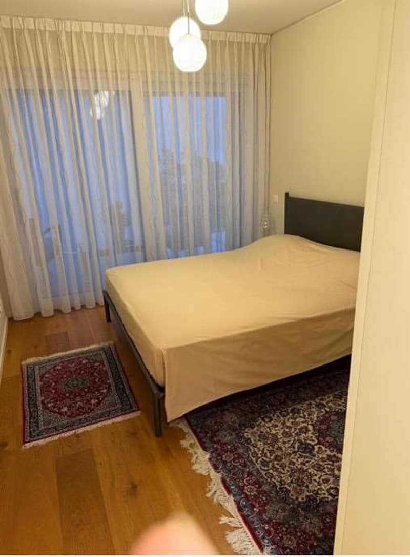 Vornehmes 3,5-Zimmer-Wohnung mit Seeblick (7)