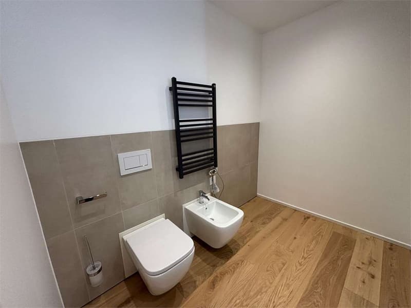 Paradise apartment 2.5 rooms renovated with lake view (5)