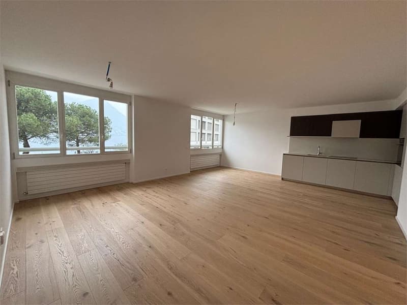 Paradise apartment 2.5 rooms renovated with lake view (2)