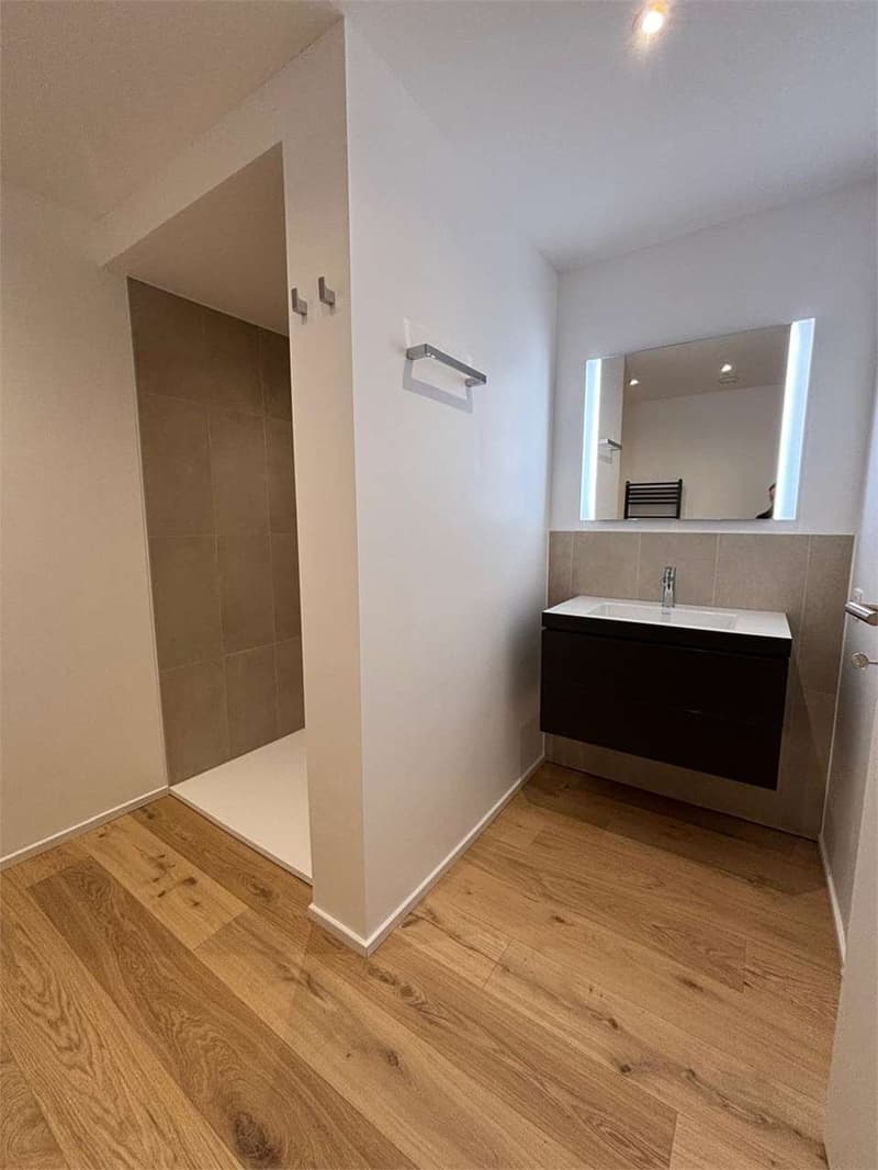 Paradise apartment 2.5 rooms renovated with lake view (4)